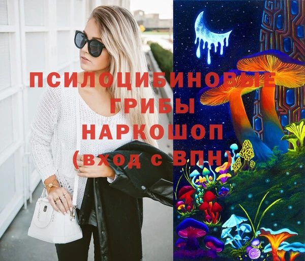 стаф Алзамай