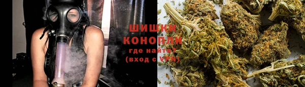 стаф Алзамай