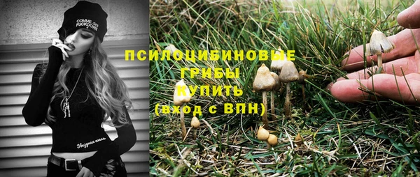 стаф Алзамай